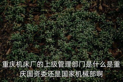 重慶機(jī)床廠的上級(jí)管理部門(mén)是什么是重慶國(guó)資委還是國(guó)家機(jī)械部啊
