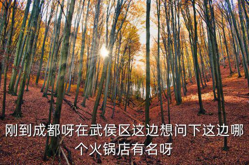 剛到成都呀在武侯區(qū)這邊想問下這邊哪個火鍋店有名呀