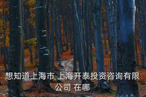 上海市浦東新區(qū)祖沖之路295號(hào)3樓301，想知道上海市 上海開(kāi)泰投資咨詢有限公司 在哪