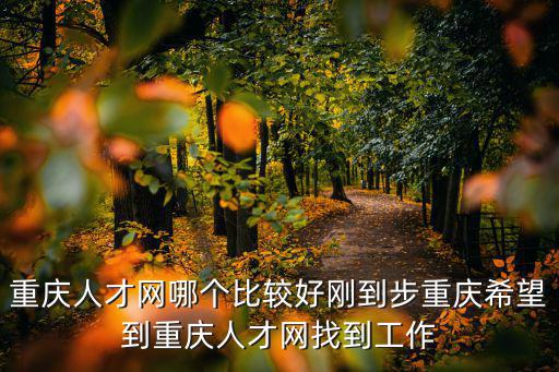 重慶人才網哪個比較好剛到步重慶希望到重慶人才網找到工作