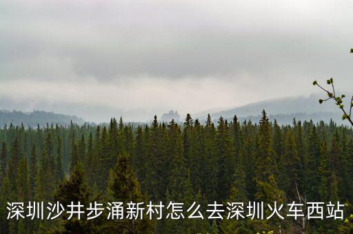 深圳沙井步涌新村怎么去深圳火車西站