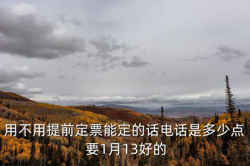 用不用提前定票能定的話電話是多少點(diǎn) 要1月13好的