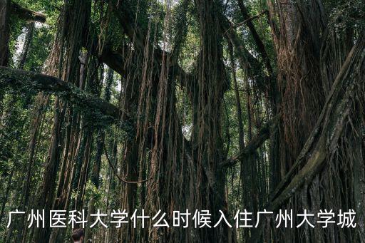 廣州醫(yī)科大學什么時候入住廣州大學城