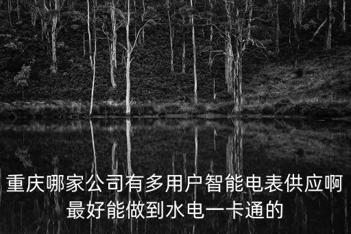 重慶哪家公司有多用戶智能電表供應啊最好能做到水電一卡通的