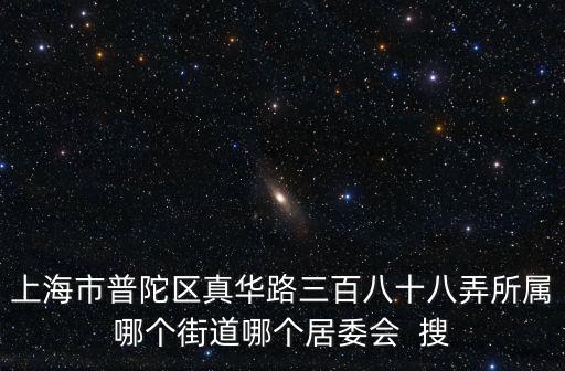 上海市普陀區真華路三百八十八弄所屬哪個街道哪個居委會  搜