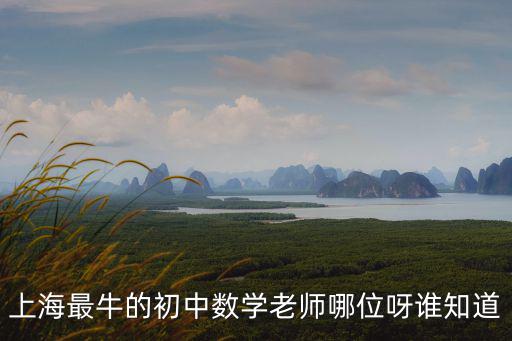 上海市班主任帶頭人工作室，上海想找個聲樂老師