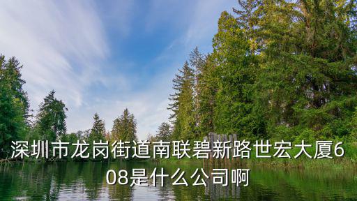深圳宏潤佳科技有限公司，深圳市龍崗街道南聯碧新路世宏大廈608是什么公司啊