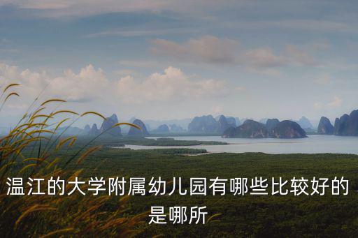 成都市溫江區譯美幼兒園，有哪位知道成都溫江蓉臺大道中段附近有哪些幼兒園怎么收費的
