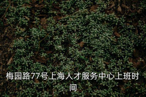 梅園路77號上海人才服務中心上班時間