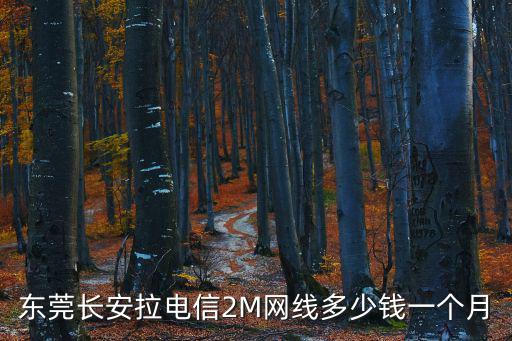 東莞長安鋼琴班多少錢一個月多少錢，東莞英語家教多少錢一個小時