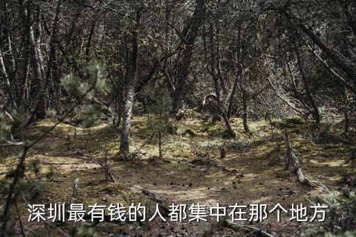 深圳最有錢的人都集中在那個地方