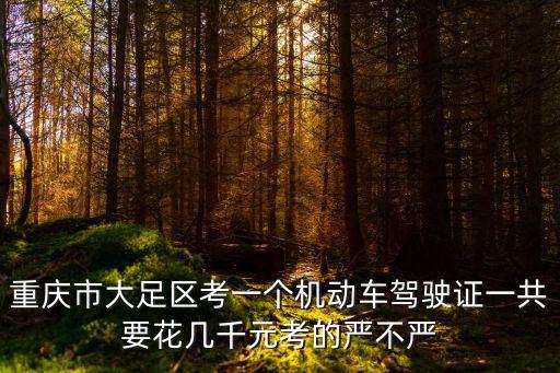 重慶市大足復隆實驗學校，重慶市大足縣有那所學校l可以就讀高中