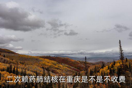 二次賴藥肺結核在重慶是不是不收費