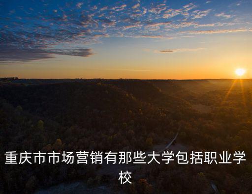 重慶市市場營銷有那些大學包括職業學校
