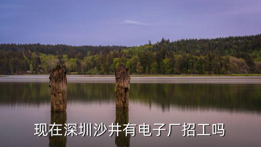 現在深圳沙井有電子廠招工嗎