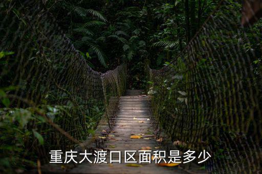 重慶大渡口區面積是多少
