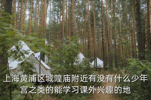 上海黃浦區城隍廟附近有沒有什么少年宮之類的能學習課外興趣的地