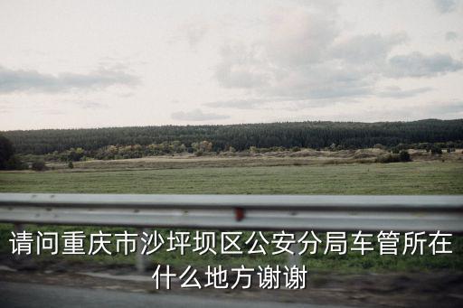 請問重慶市沙坪壩區(qū)公安分局車管所在什么地方謝謝