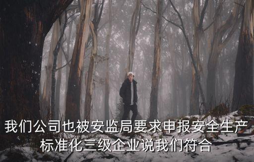 我們公司也被安監局要求申報安全生產標準化三級企業說我們符合