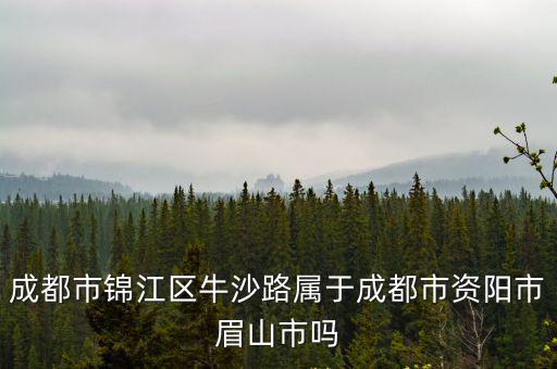 成都市錦江區牛沙路屬于成都市資陽市眉山市嗎