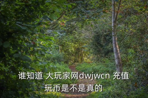 誰知道 大玩家網(wǎng)dwjwcn 充值玩幣是不是真的