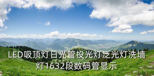 LED吸頂燈日光管投光燈泛光燈洗墻燈1632段數碼管顯示
