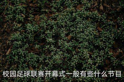 校園足球聯賽開幕式一般有些什么節目