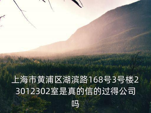 上海市黃浦區湖濱路168號3號樓23012302室是真的信的過得公司嗎