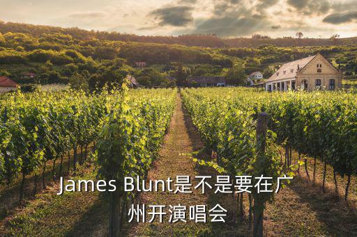 詹姆斯來廣州，明天詹姆斯在廣州哪里舉行球迷見面會