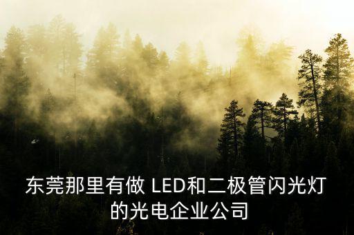 東莞那里有做 LED和二極管閃光燈 的光電企業公司