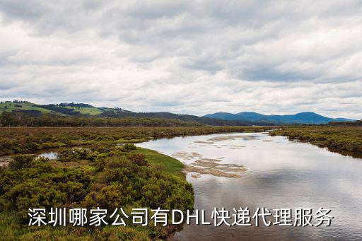 深圳哪家公司有DHL快遞代理服務