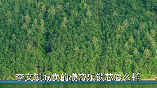 東莞模帝樂鎖芯，興隆祥 無敵鎖 模帝樂