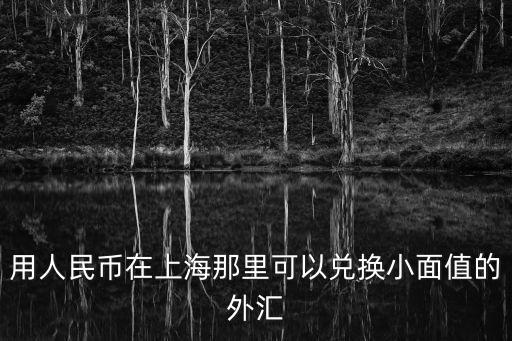 用人民幣在上海那里可以兌換小面值的外匯