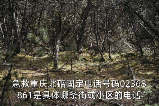 重慶市北碚區李曉華，重慶市北碚區水土鎮云漢大道136號郵編是