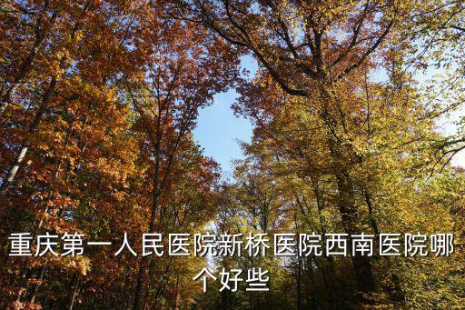 重慶第一人民醫(yī)院新橋醫(yī)院西南醫(yī)院哪個(gè)好些