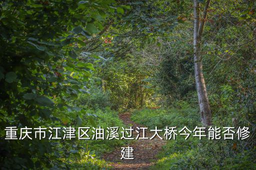 重慶市江津區油溪過江大橋今年能否修建