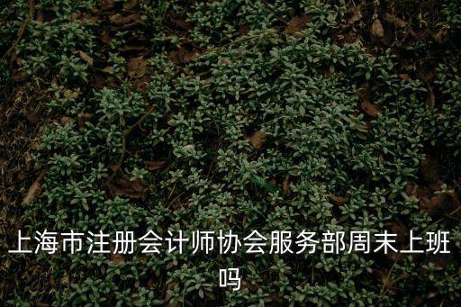 上海市注冊會計師協會服務部周末上班嗎
