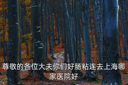 尊敬的各位大夫你們好腸粘連去上海哪家醫院好
