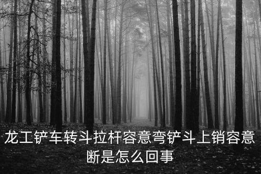龍工鏟車轉斗拉桿容意彎鏟斗上銷容意斷是怎么回事
