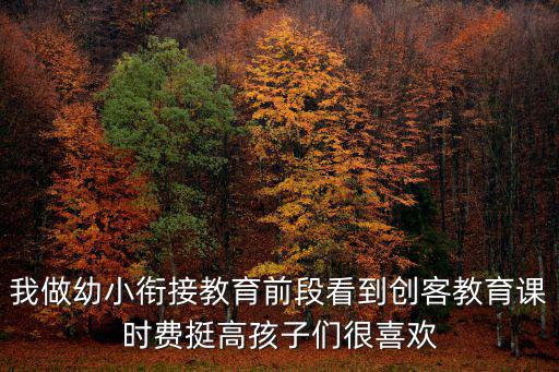 我做幼小銜接教育前段看到創客教育課時費挺高孩子們很喜歡