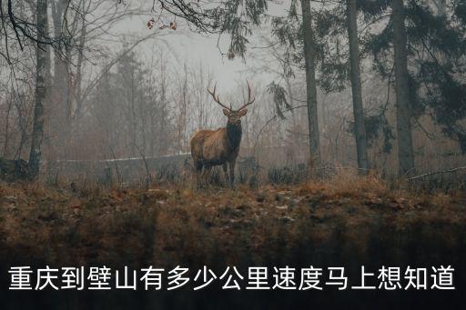 重慶到壁山有多少公里速度馬上想知道