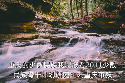 重慶的少數(shù)民族我想報考2011少數(shù)民族骨干計劃研究生去重慶市教