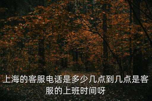 上海市建筑建材業(yè)受理服務(wù)中心工作時(shí)間，上海的客服電話是多少幾點(diǎn)到幾點(diǎn)是客服的上班時(shí)間呀