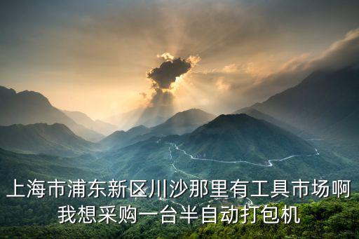 上海市浦東新區(qū)川沙那里有工具市場啊我想采購一臺半自動打包機