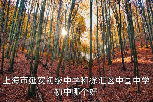 上海市延安初級中學和徐匯區中國中學初中哪個好