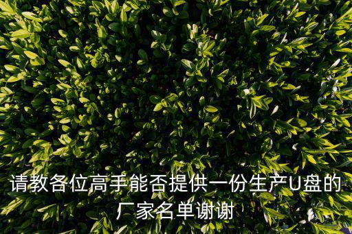 請教各位高手能否提供一份生產U盤的廠家名單謝謝