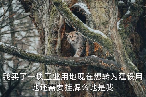 我買了一塊工業用地現在想轉為建設用地還需要掛牌么地是我