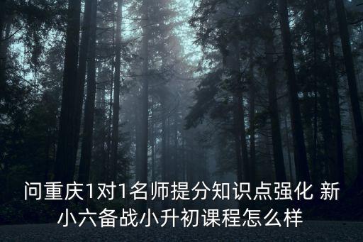 問重慶1對1名師提分知識點強化 新小六備戰(zhàn)小升初課程怎么樣