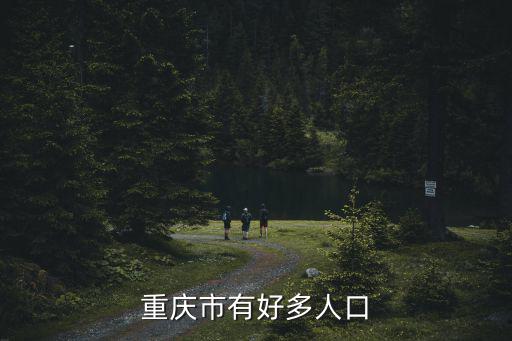 重慶市有好多人口