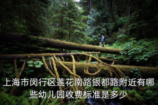 上海市閔行區蓮花南路銀都路附近有哪些幼兒園收費標準是多少